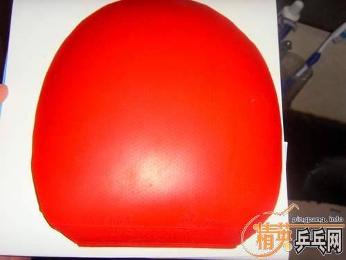 ��һ�ѽ�Ƥ�������о�