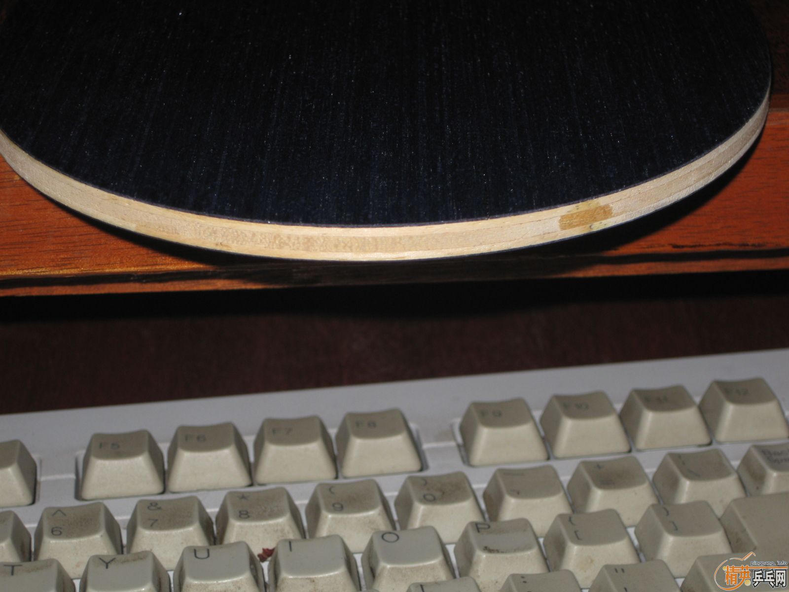 ����ˮ��,JOOLA K5..............