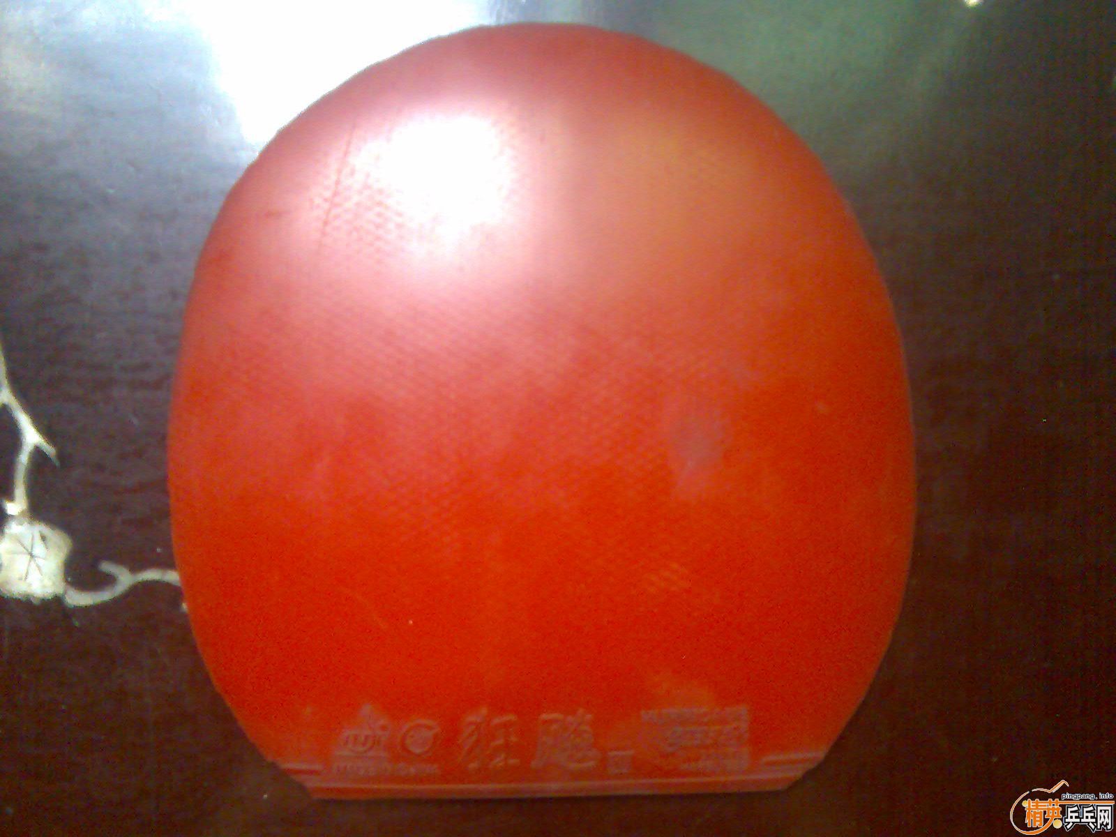 ˴4  齺Ƥ 켫ʡPF4V