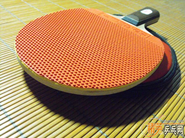 ���°��˫ϲ08����ɫ�ܺã�30Ԫ