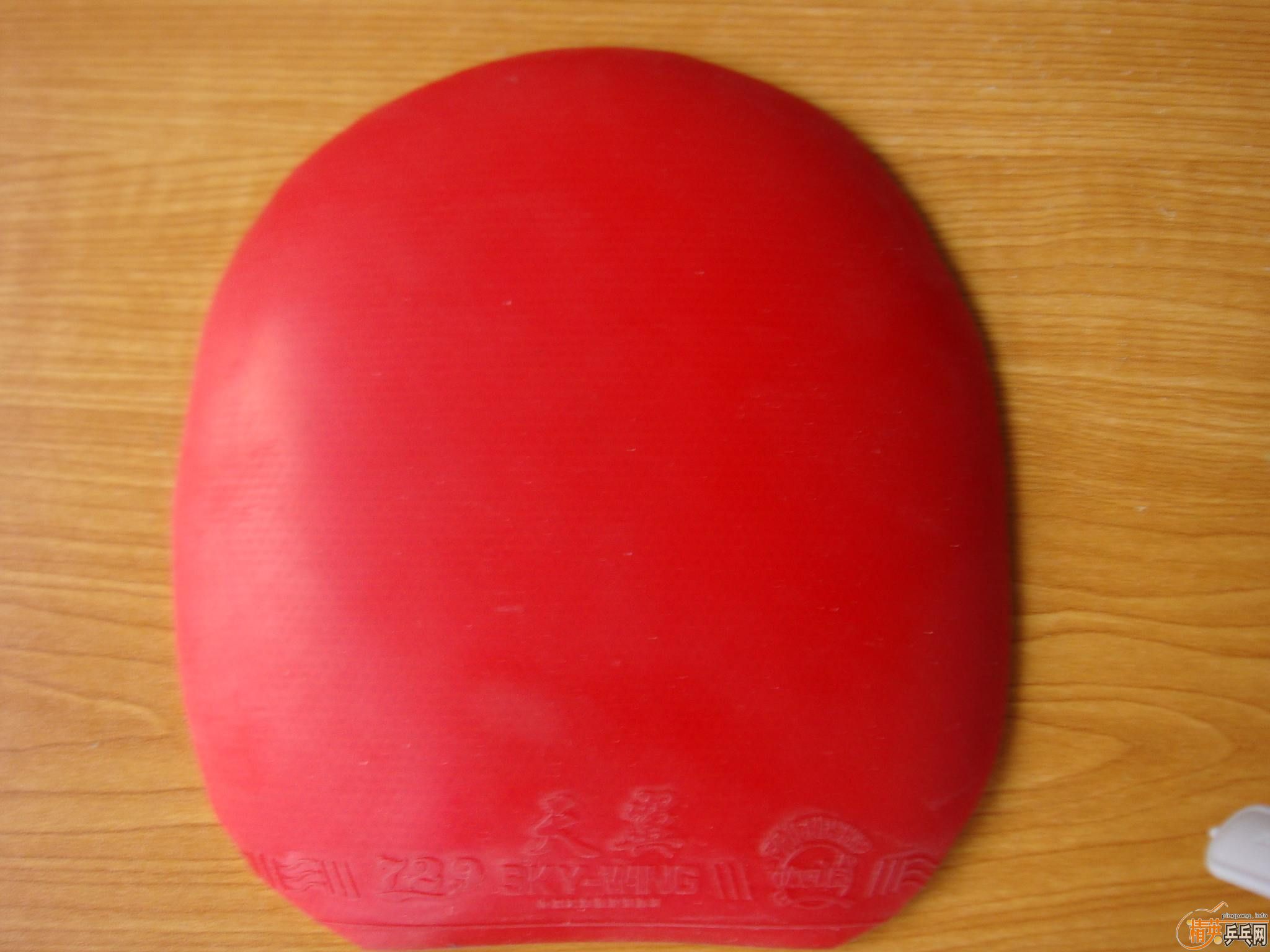 ������T11��06���������������