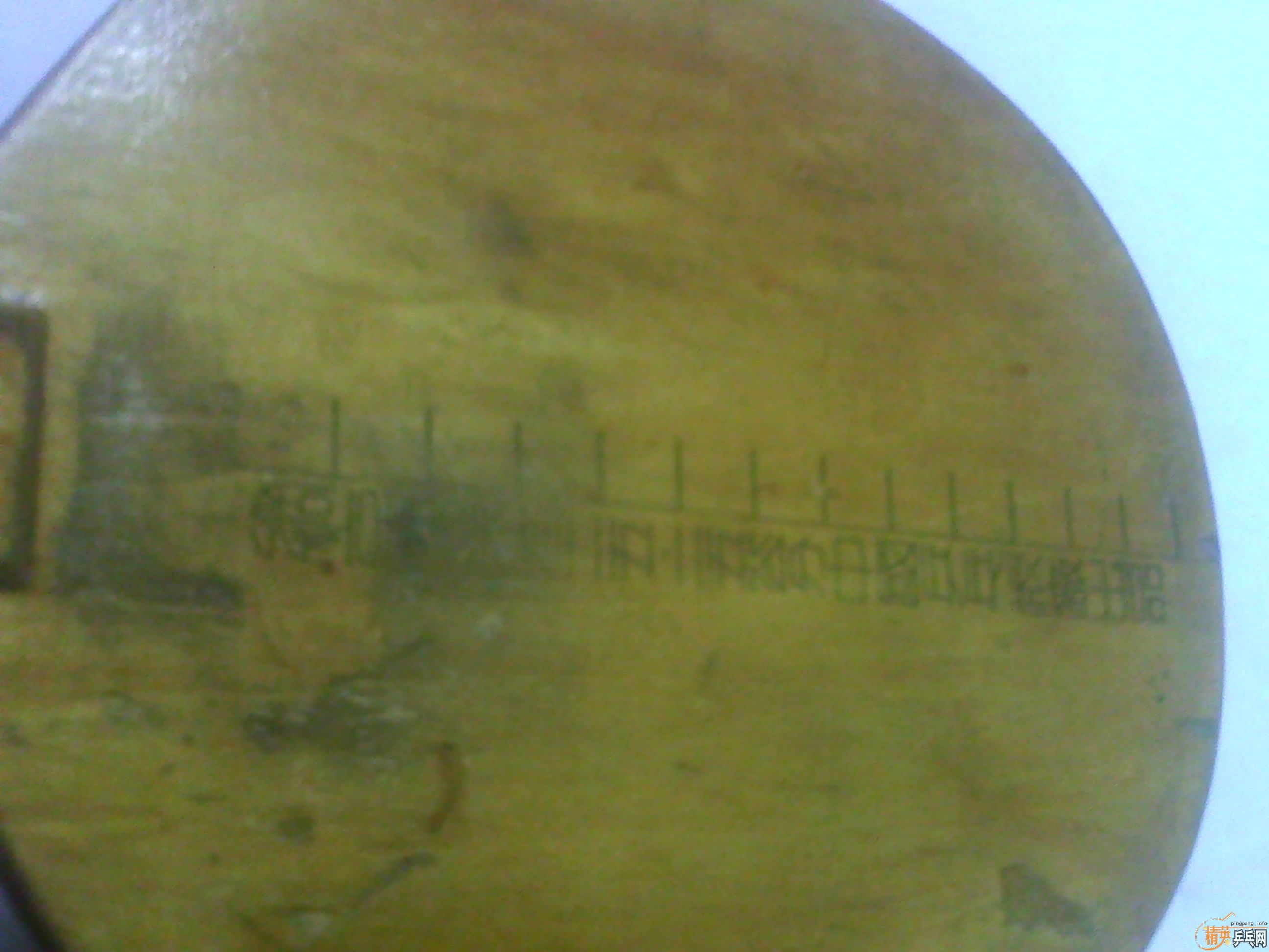 �ؼ۳���5.4����OC������������˳�磬�Ϻ�˫ϲ��K5�ȵȻ�ӭѡ��