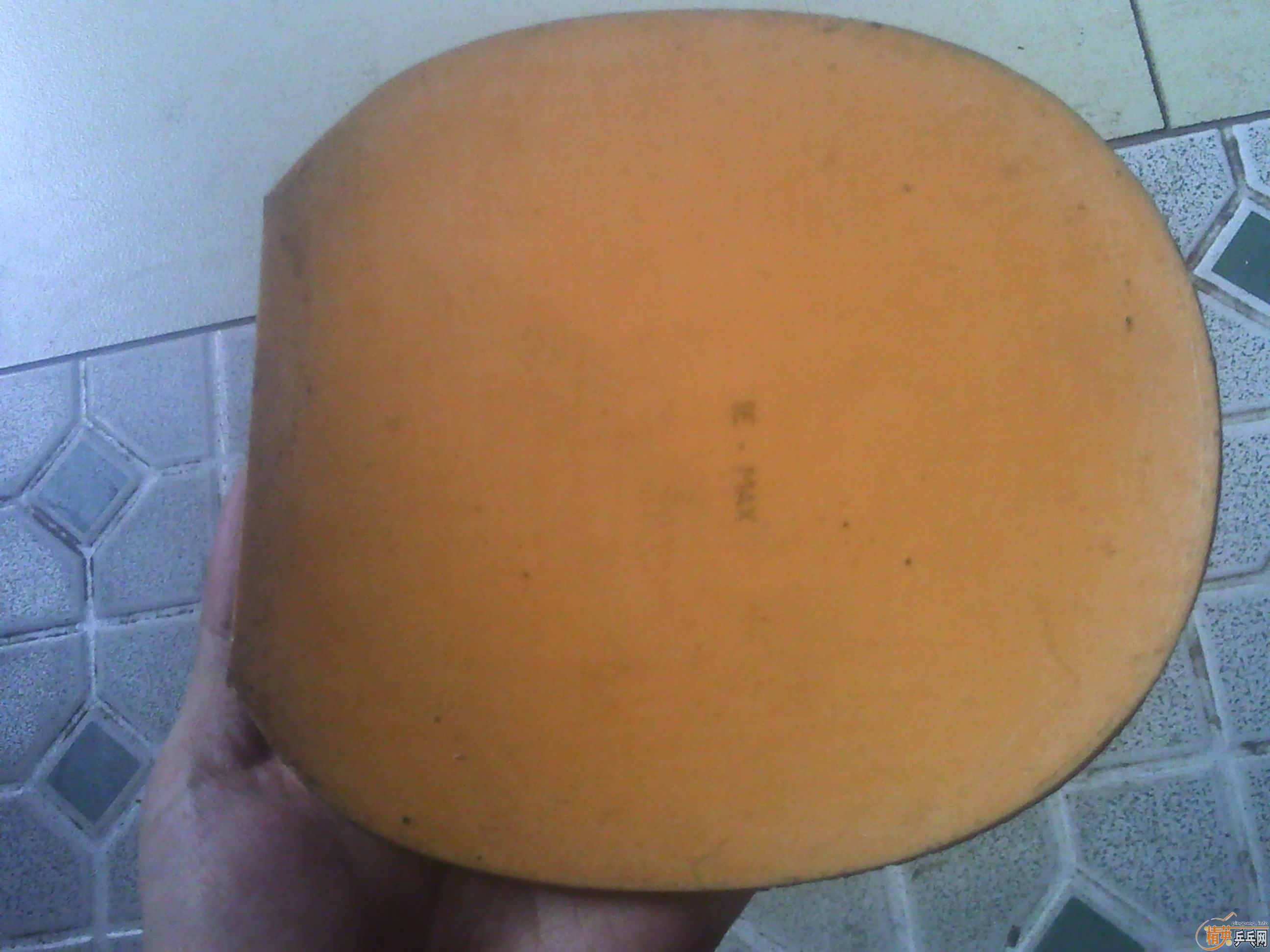 ���������Ƿ�AN�� �� EL ��Ƥ