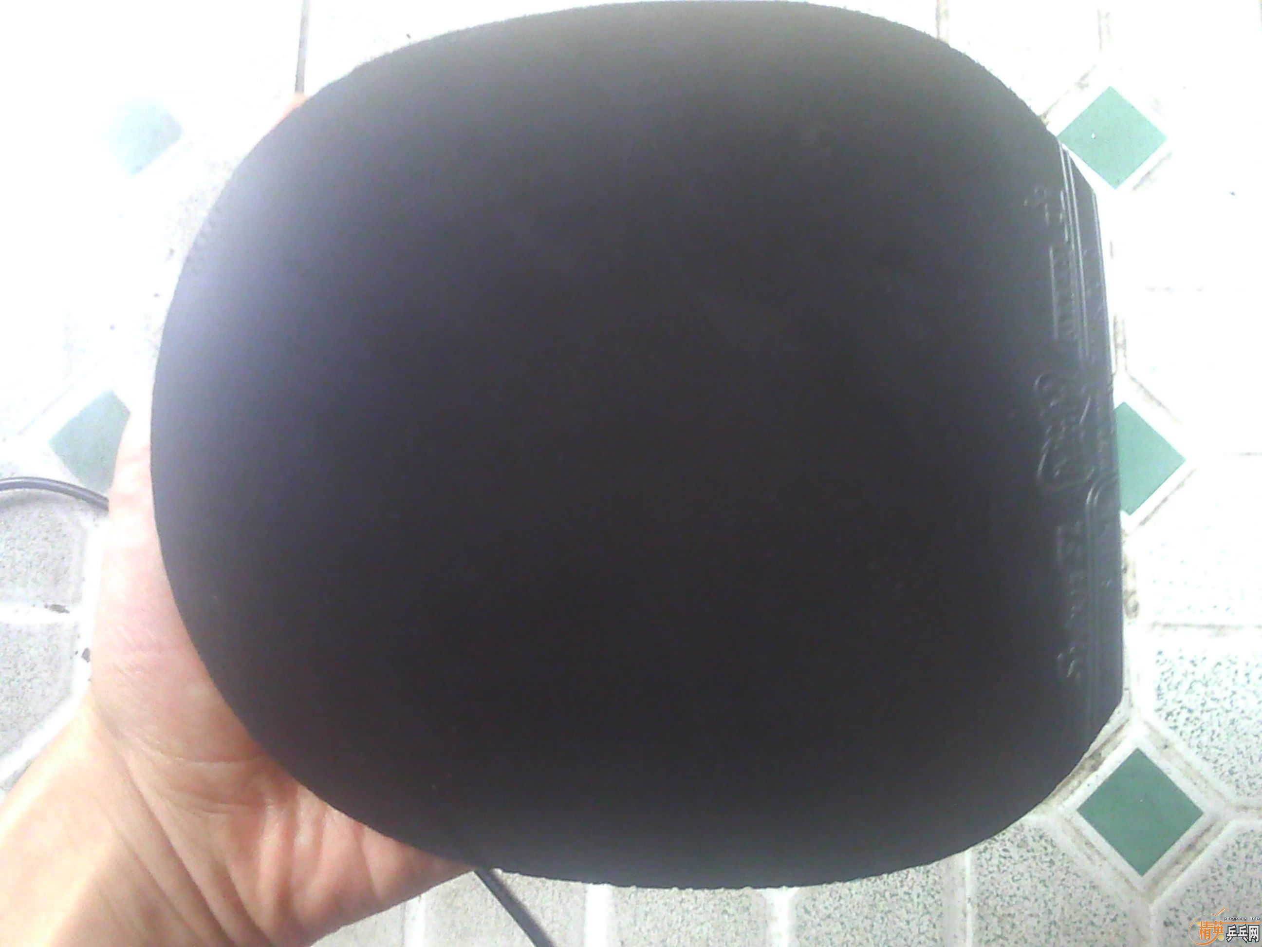 ���������Ƿ�AN�� �� EL ��Ƥ