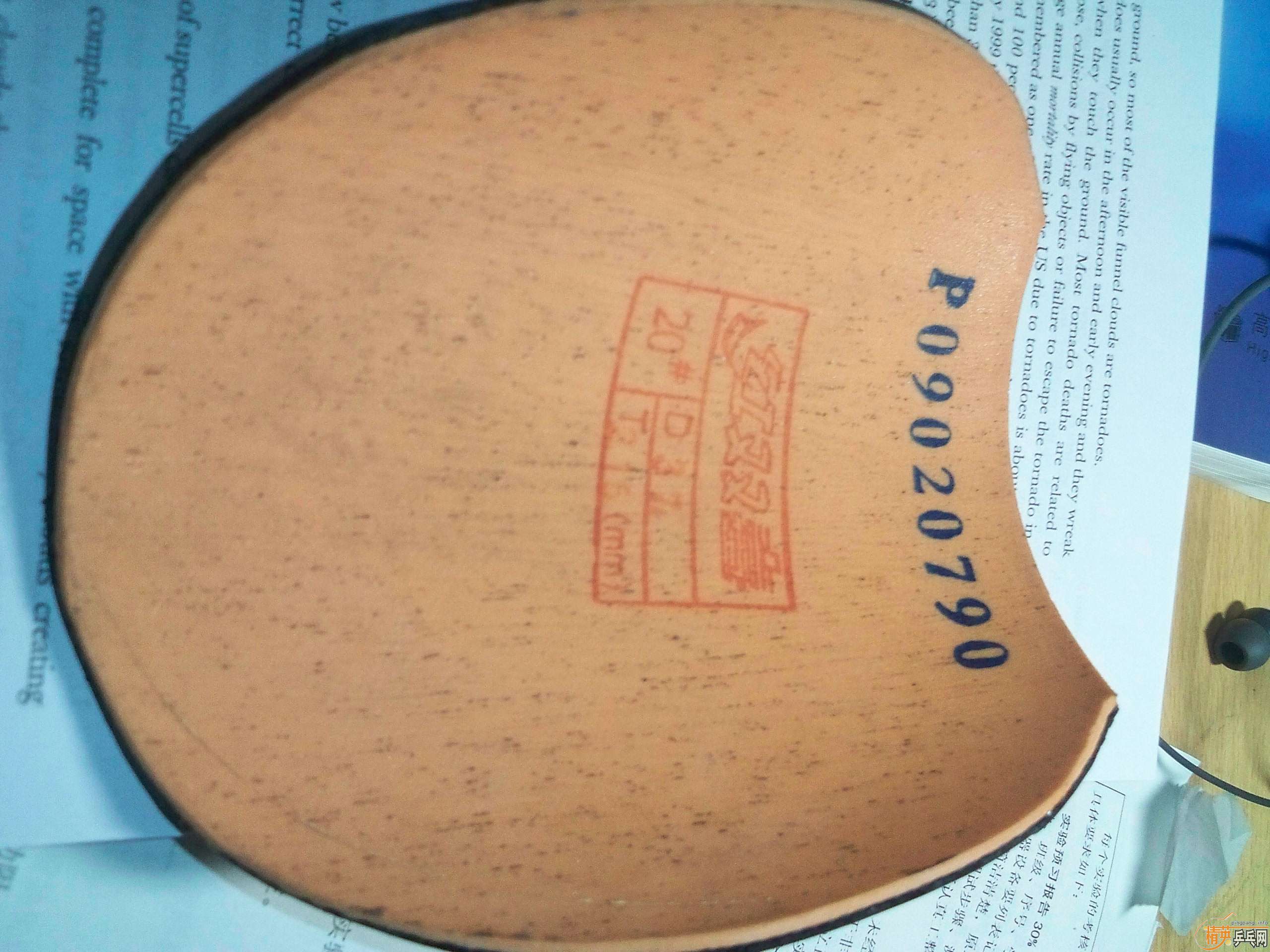 ��ŷ��ST���7.6���Ŀ��׽���֧��֧��������~~