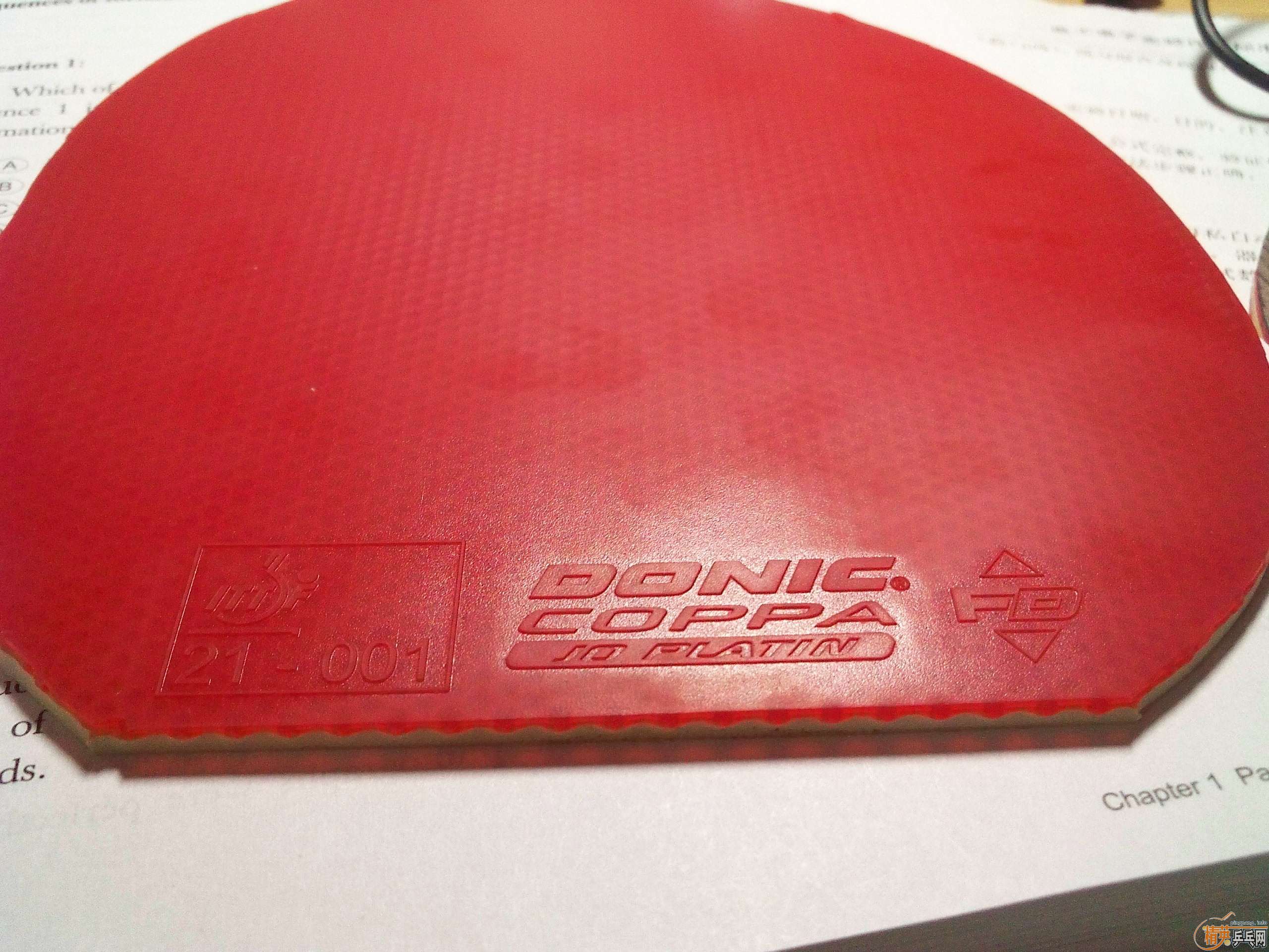 ��ŷ��ST���7.6���Ŀ��׽���֧��֧��������~~