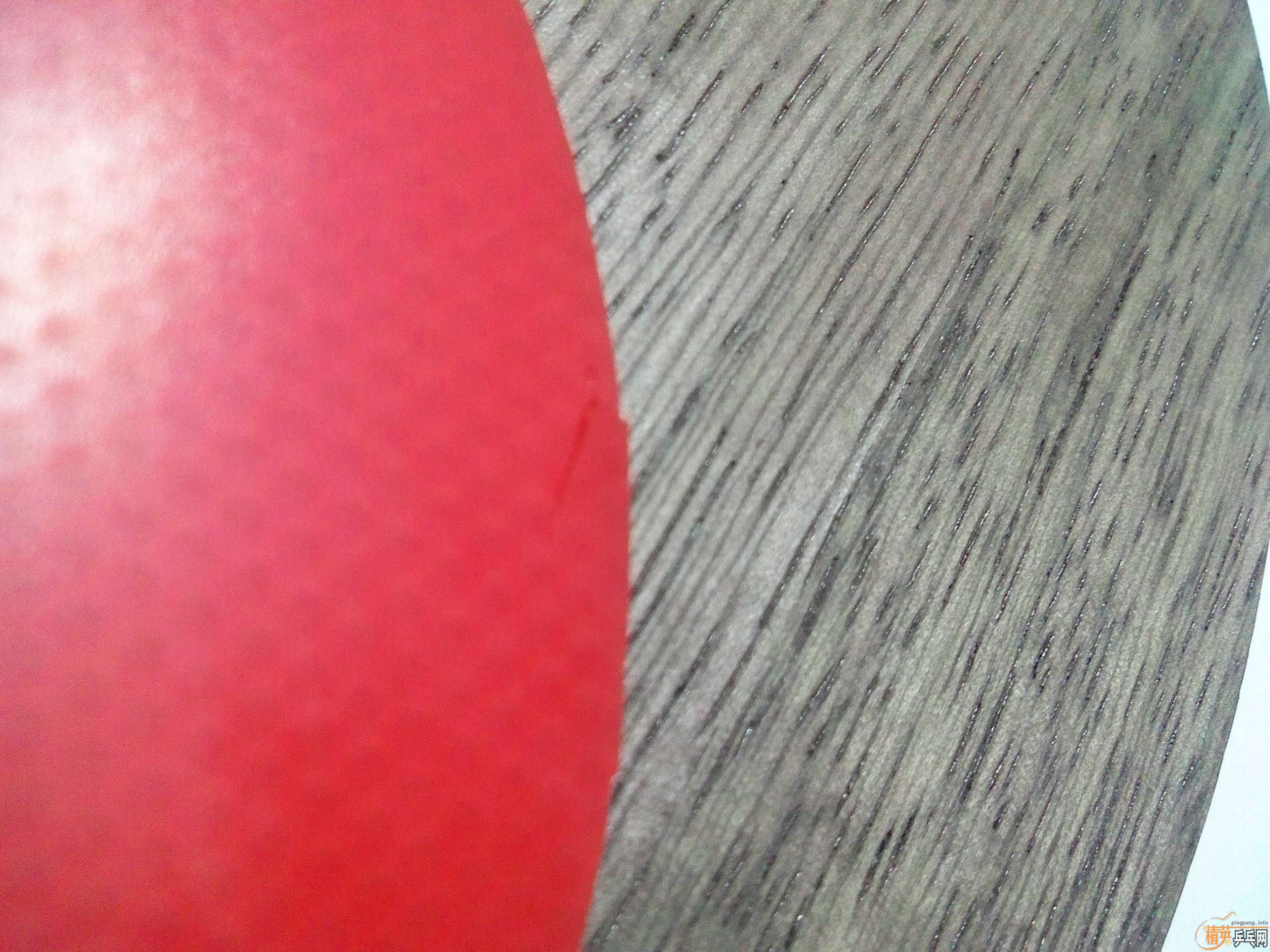 ��ŷ��ST���7.6���Ŀ��׽���֧��֧��������~~