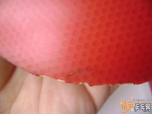 ������ ���泱�� ֻ��һ��С�˵ĺ�ɫF2  75������ֱ��39��ʡ��һ��