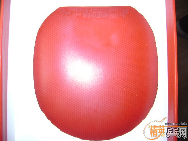 ������ ���泱�� ֻ��һ��С�˵ĺ�ɫF2  75������ֱ��39��ʡ��һ��