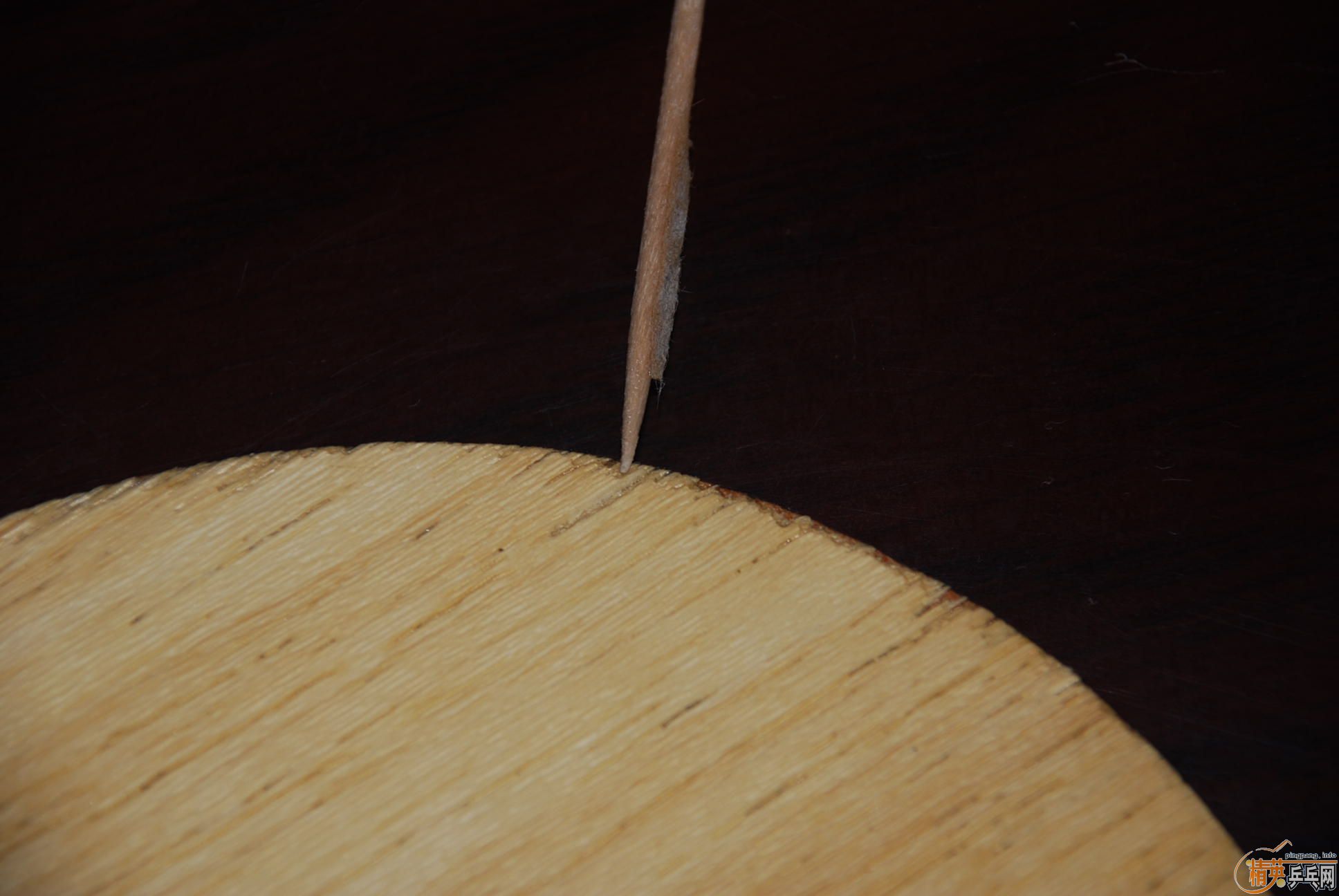 �������ޱ������ľ