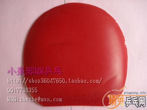 ��ʮ�־� ʡ�� ��������III��ɫ���� ��������II