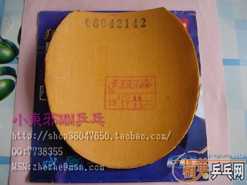 ��ʮ�־� ʡ�� ��������III��ɫ���� ��������II