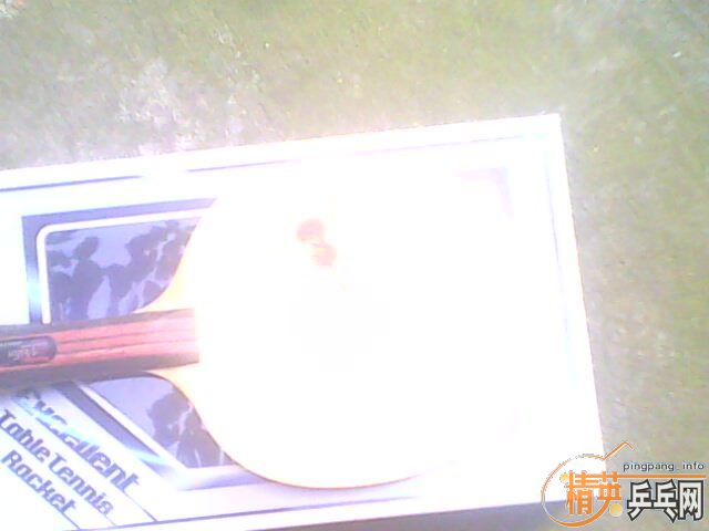 FLС���٣�˹�ؿ�MP �� JO