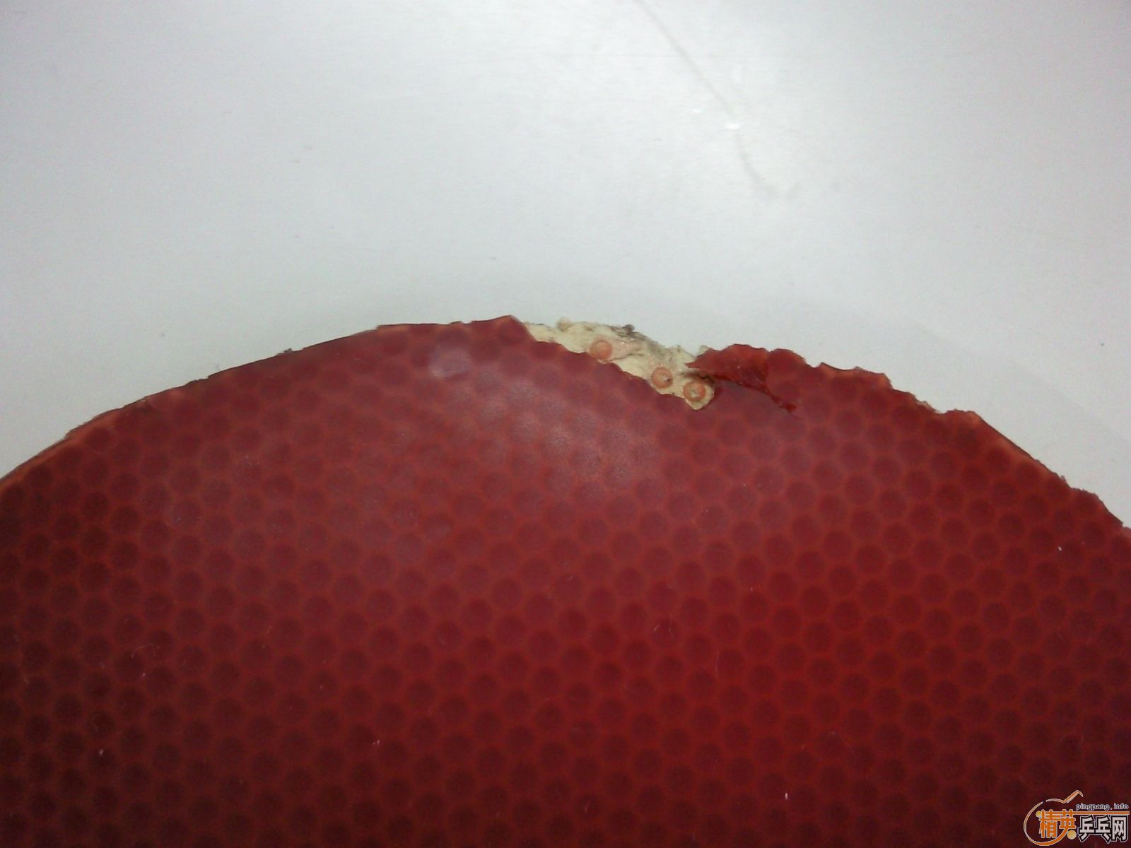 ��һ���ϰ�BOLL(FL)