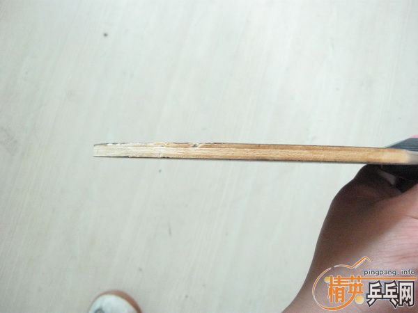 ������������ͺ�����Ƥ