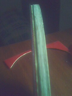 [����]���Ϻ���������������档ϲ���Ľ���������