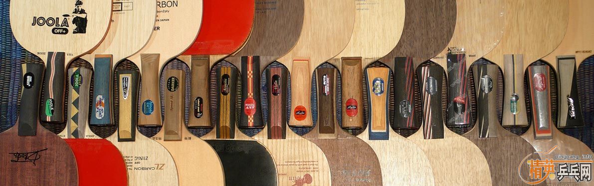 �ϰ汾 VIVA  AN ��  82��  ��310   ��֧����