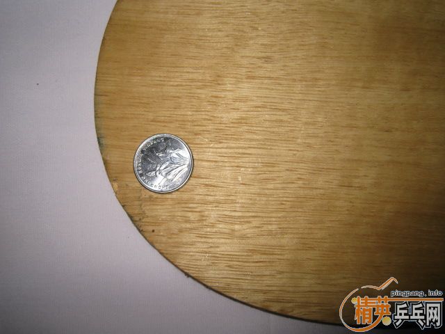 100��Nittaku רҵС��������100��Nittaku �׷���