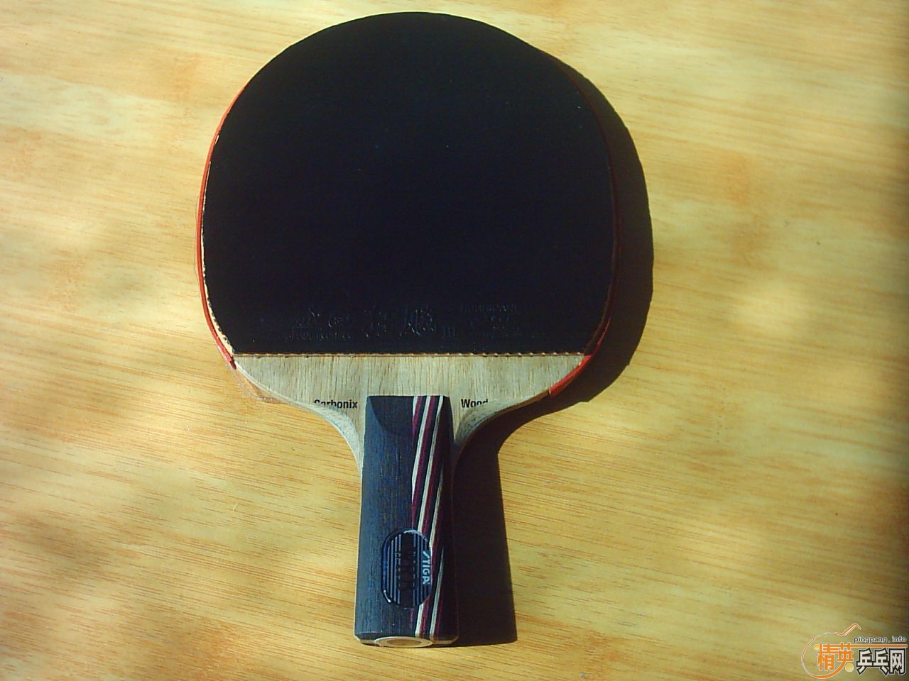 ����----------------------��˹̼��