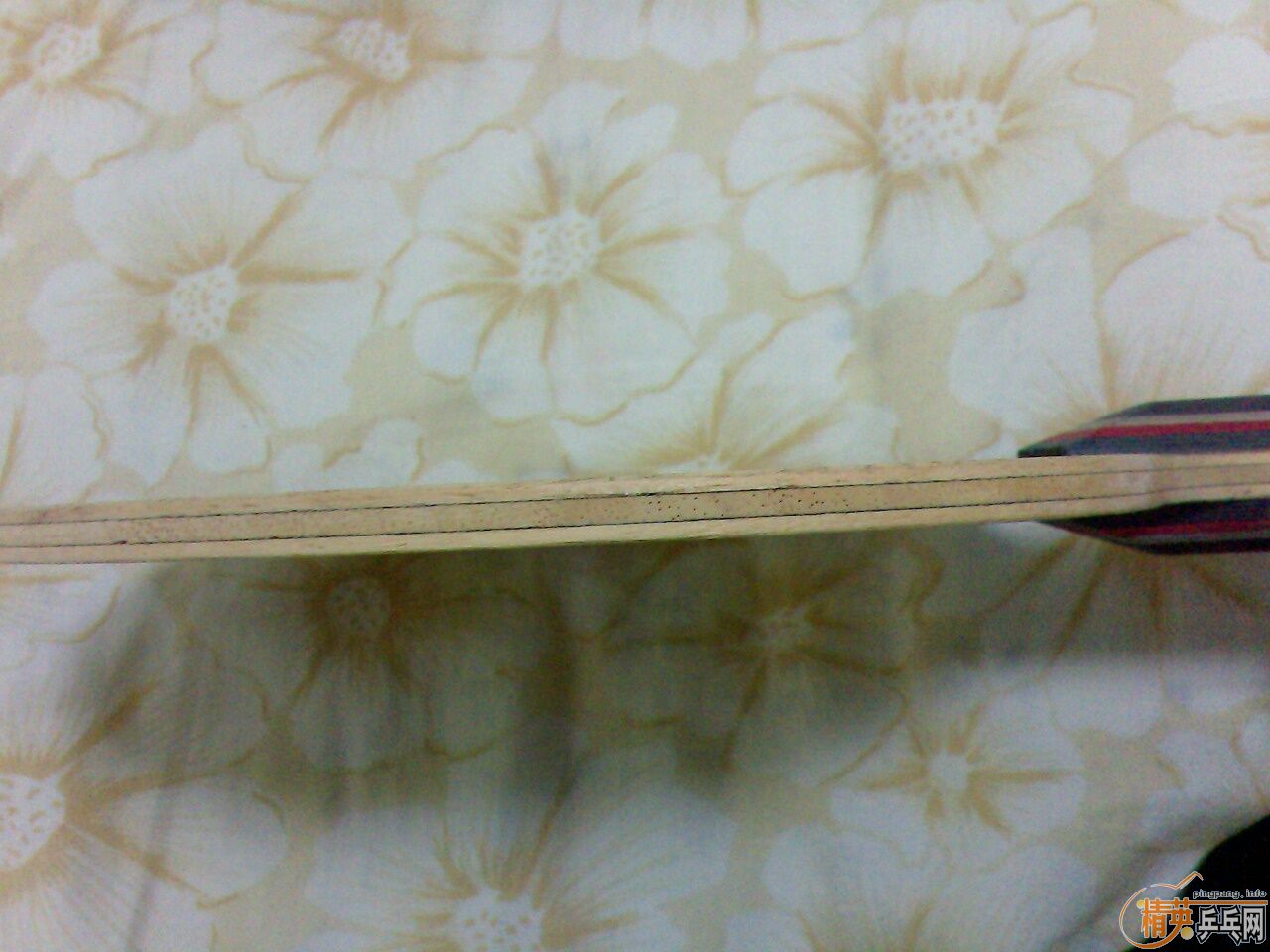 ��nittaku LIALOX ���ᣩ