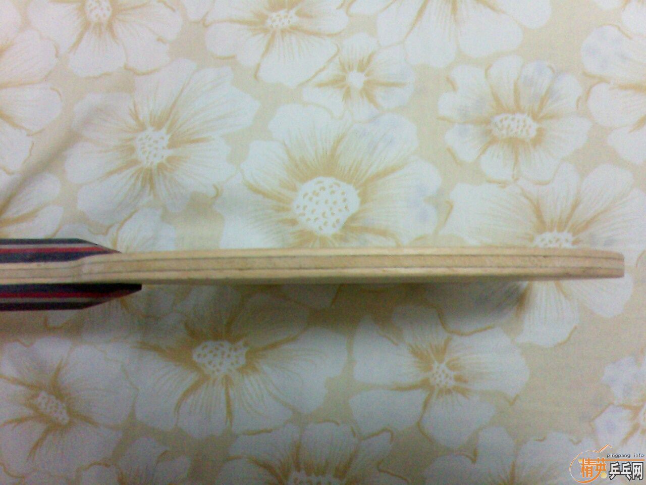 ��nittaku LIALOX ���ᣩ