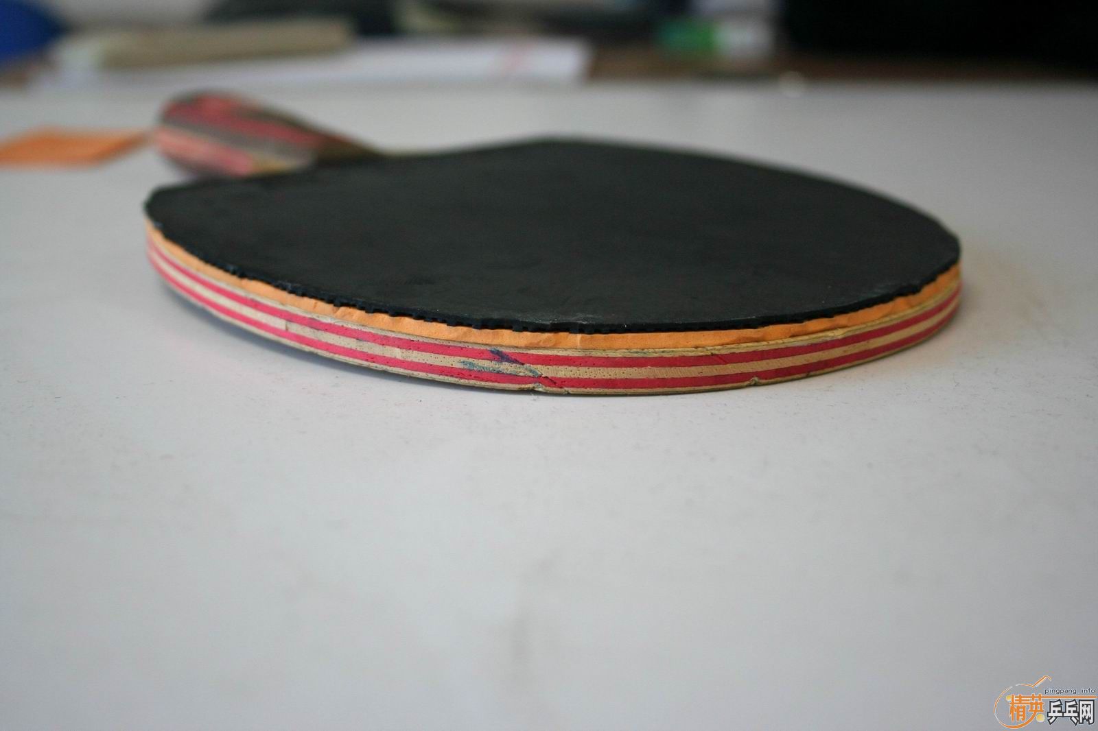 ����Ʒ���NITTAKU R5 ����ʽϸ����CL