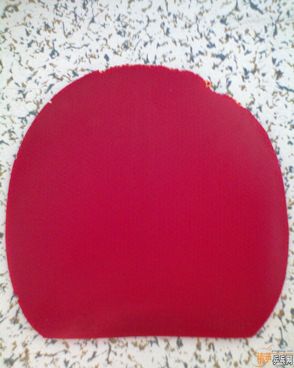 ƹ̿㣩׽F1729-08G666729-CREAMCJ8000ȣ