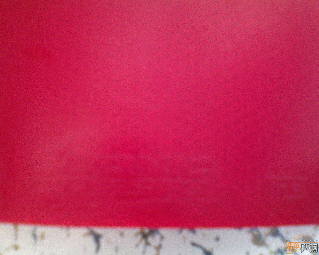 ƹ̿㣩׽F1729-08G666729-CREAMCJ8000ȣ