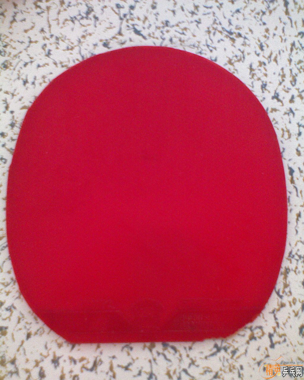 ƹ̿㣩׽F1729-08G666729-CREAMCJ8000ȣ