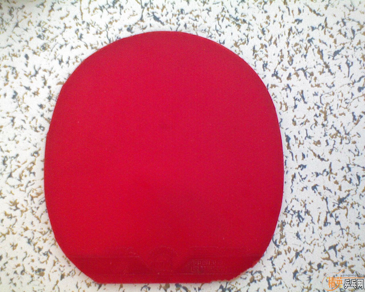 ƹ̿㣩׽F1729-08G666729-CREAMCJ8000ȣ
