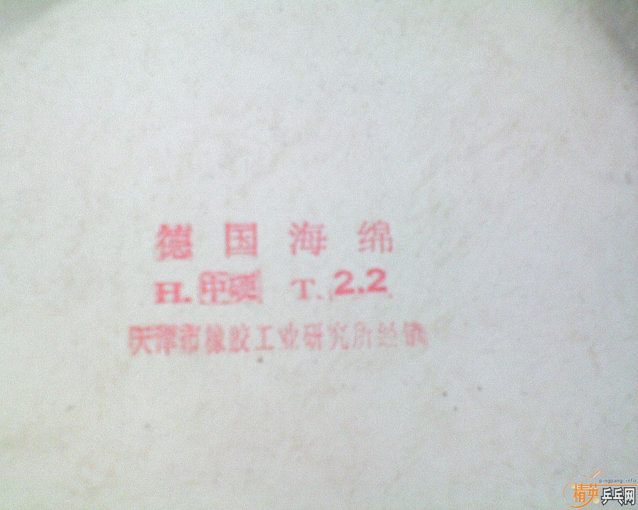 ƹ̿㣩׽F1729-08G666729-CREAMCJ8000ȣ