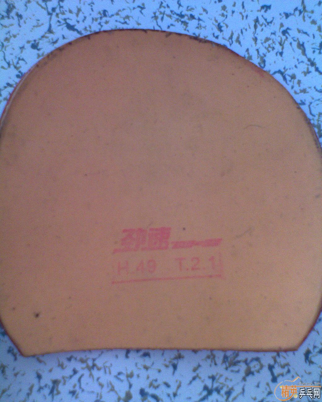 ƹ̿㣩׽F1729-08G666729-CREAMCJ8000ȣ