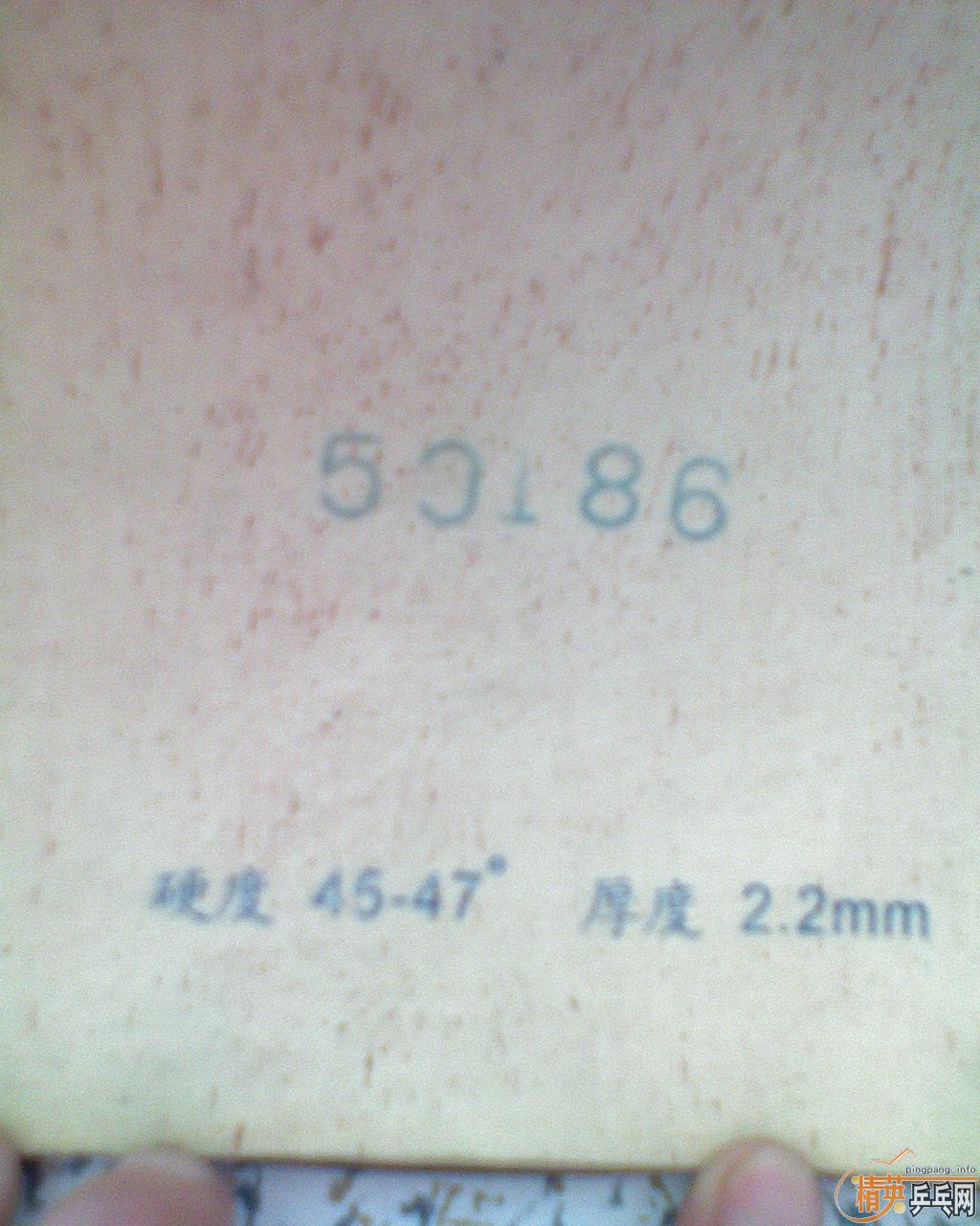 ƹ̿㣩׽F1729-08G666729-CREAMCJ8000ȣ