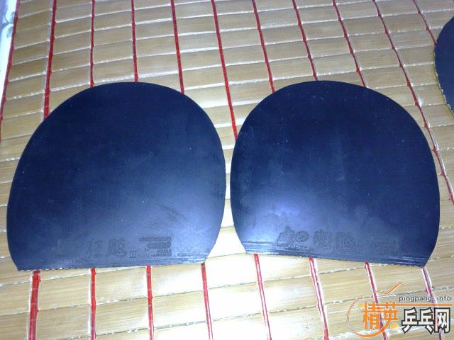 ��9.5��С���١�9.5���л��Ϻ�̼��V1��һЩ�׽����۸����꣡