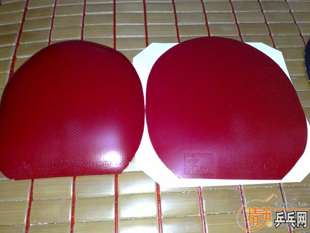 ��9.5��С���١�9.5���л��Ϻ�̼��V1��һЩ�׽����۸����꣡