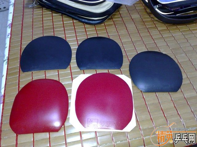 ��9.5��С���١�9.5���л��Ϻ�̼��V1��һЩ�׽����۸����꣡