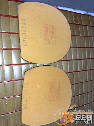 ��9.5��С���١�9.5���л��Ϻ�̼��V1��һЩ�׽����۸����꣡