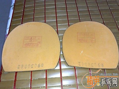 ��9.5��С���١�9.5���л��Ϻ�̼��V1��һЩ�׽����۸����꣡