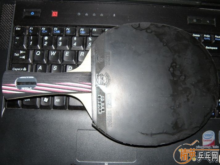 ֧��������������ӵ�ŷ����˹