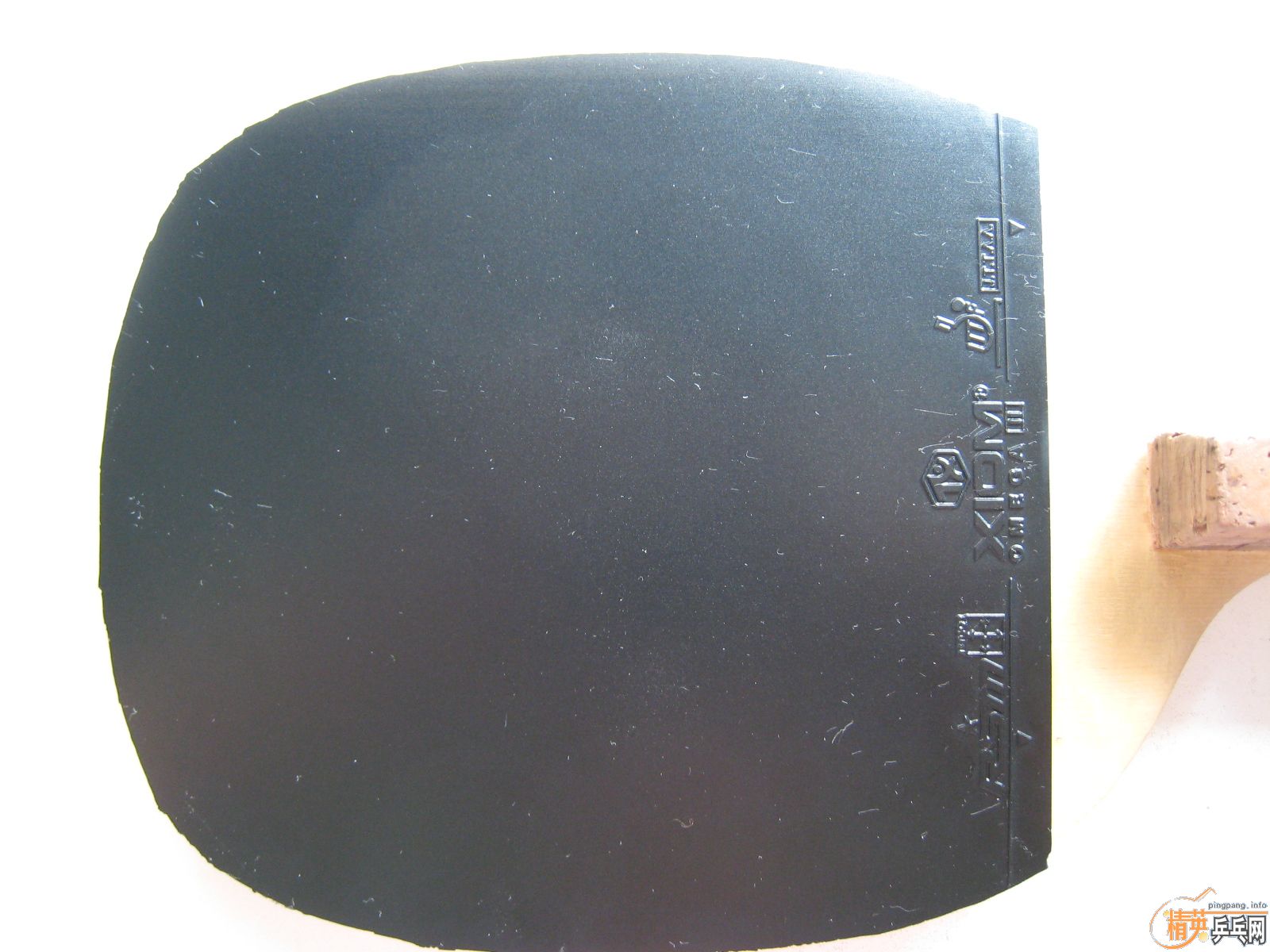 ���µ���ֱ����OMEGA2��ͦ��NIMBUS