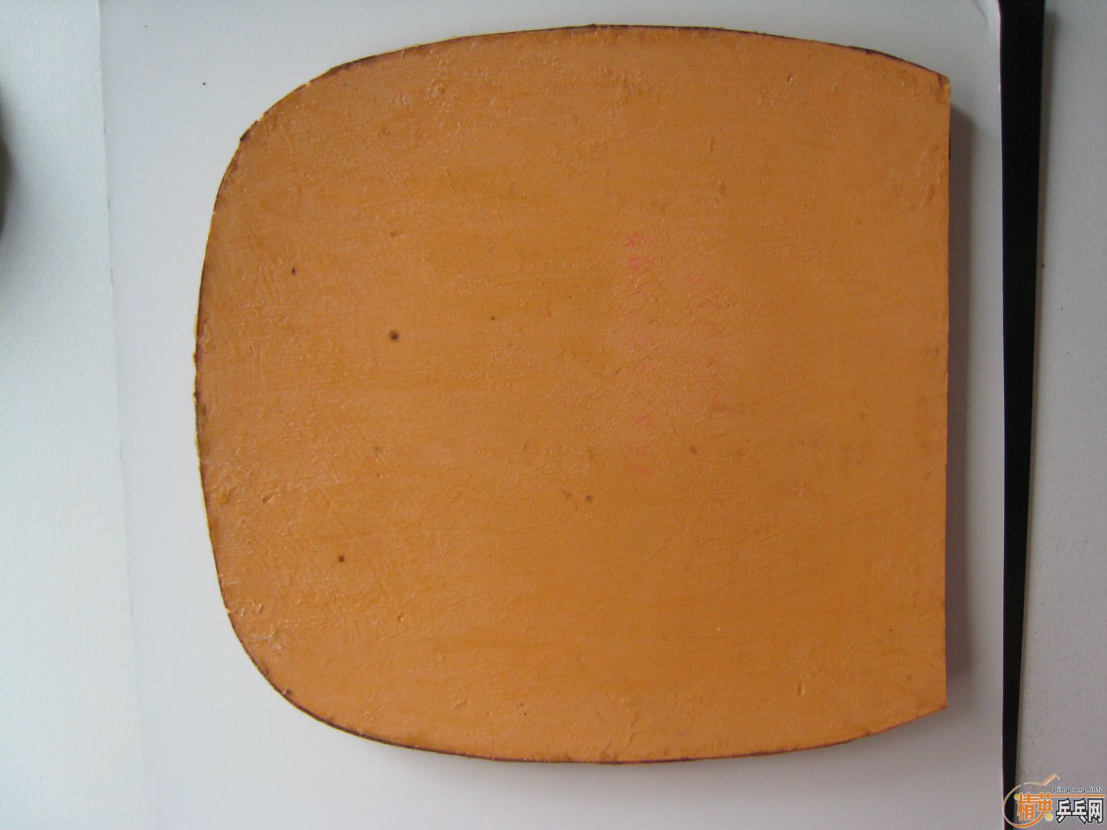 ���µ���ֱ����OMEGA2��ͦ��NIMBUS