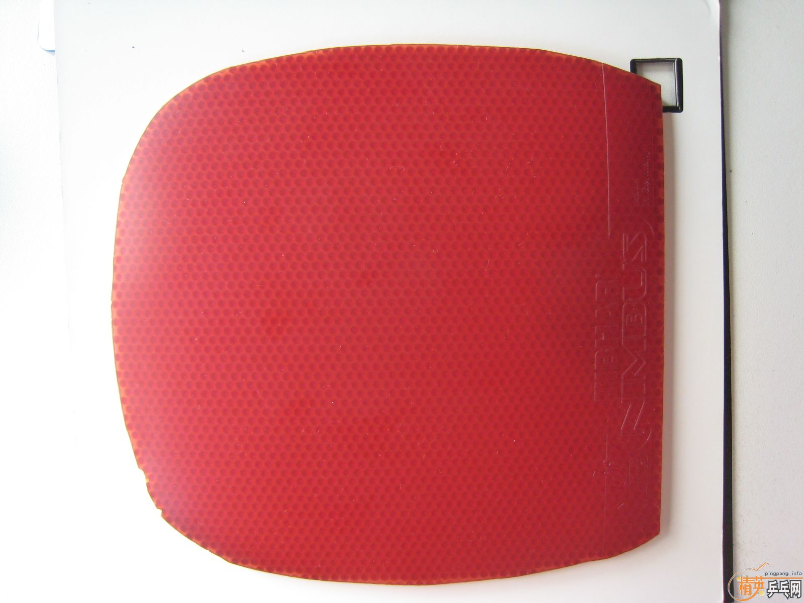 ���µ���ֱ����OMEGA2��ͦ��NIMBUS