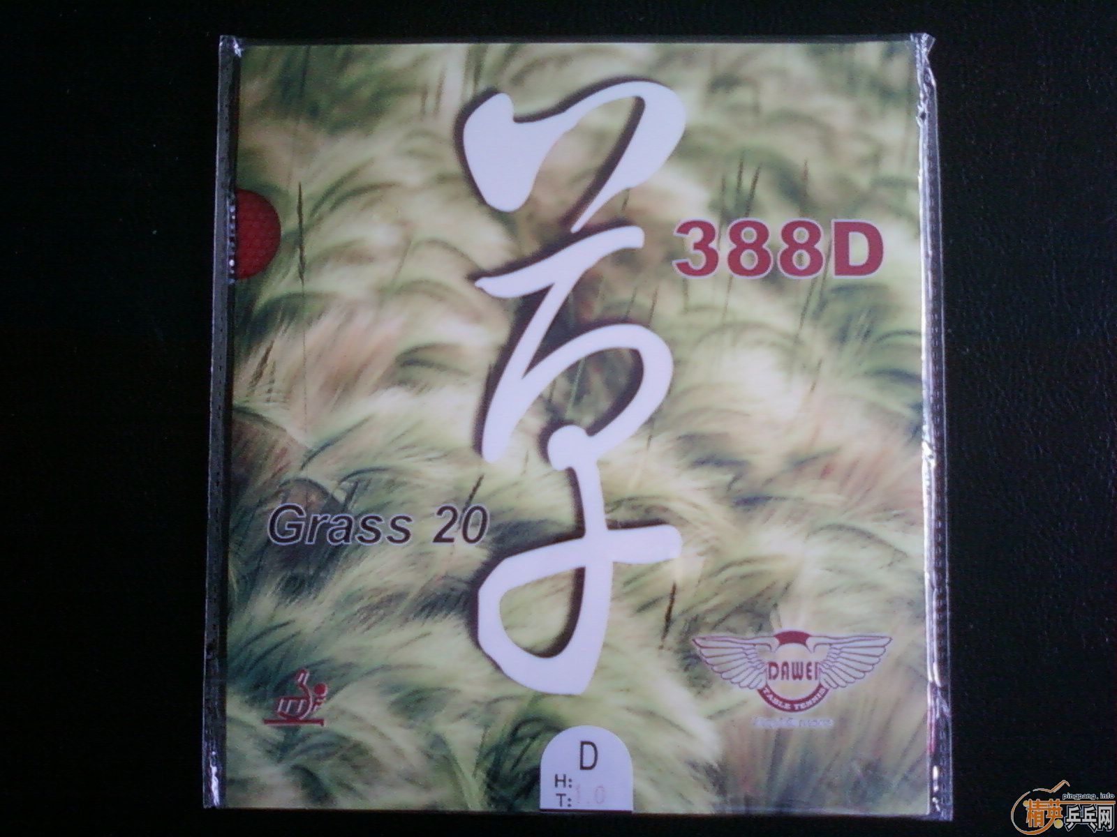 388DĹ졪Դݳ