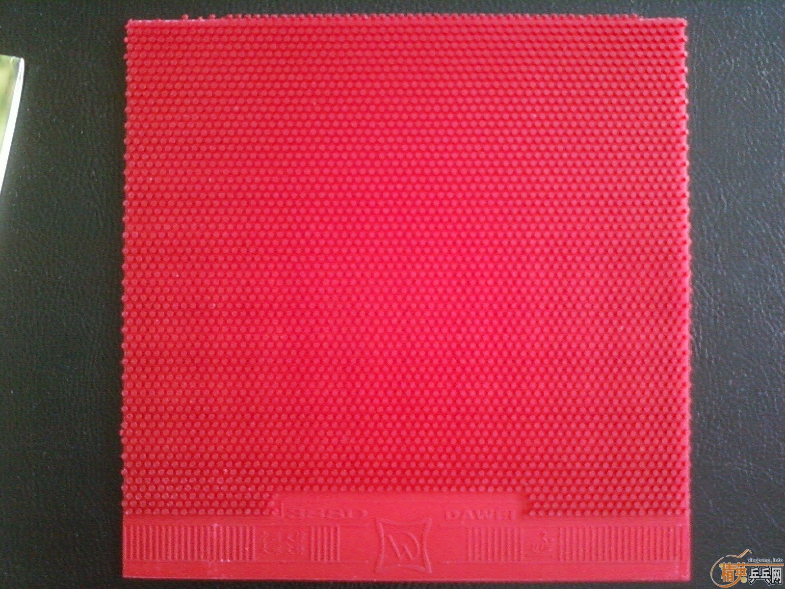 388DĹ졪Դݳ