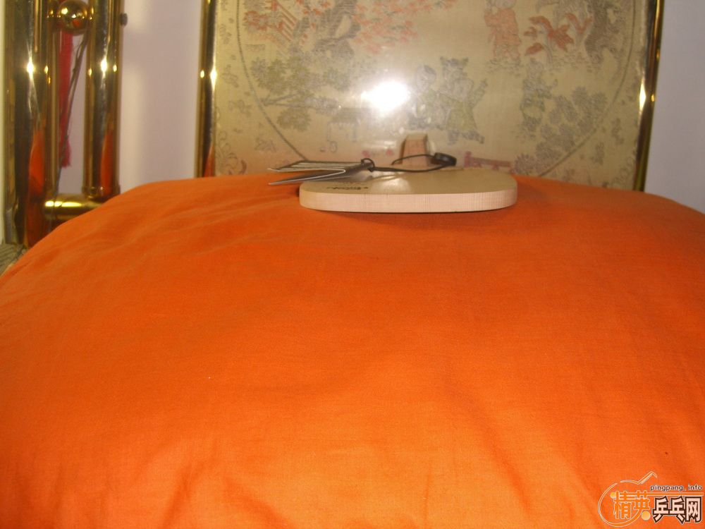 ����������֮ ���ƽ� ��ţ�VL2473