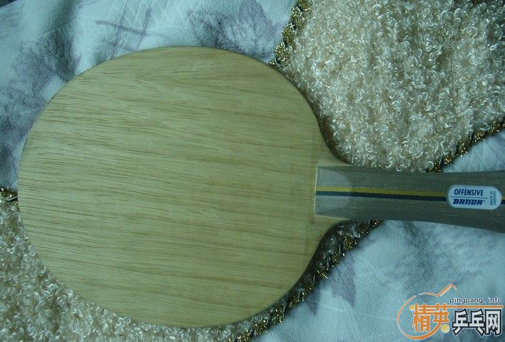 �ؿ�������ǡ230�����·������˰����ľ��������¿�9�£�45��