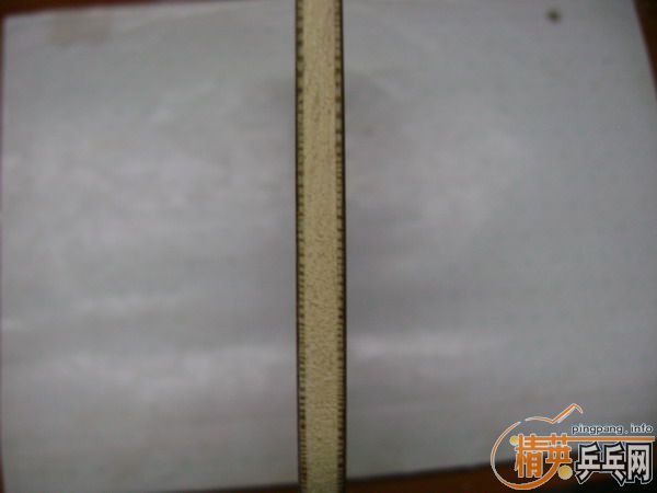 ���ڶ���95��ŷ�٣ţϣ��������ţͣӣ�����