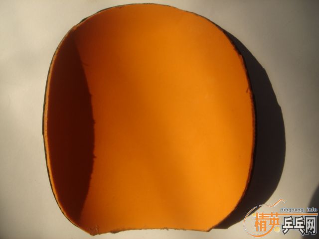 [ͼ]ӢӱѾֲ200996ջʵܵ211ڡ