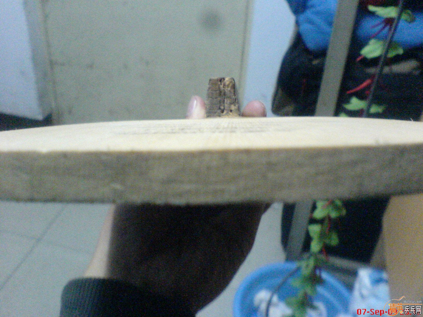 ���ͼ۳�����������ֱ����J