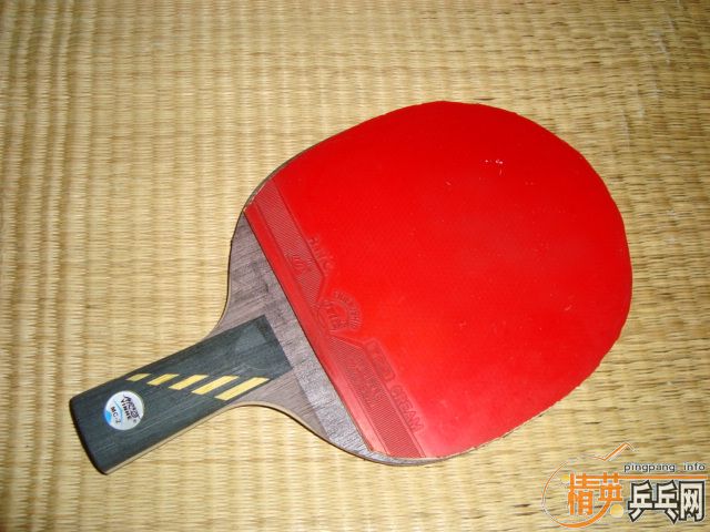 �����ܻ���ʲô����